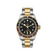 帝舵（TUDOR）碧灣 瑞士手表 鋼帶黑盤 日顯男表 41mm M79833MN-0001