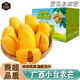 南步正宗廣西百色臺農(nóng)芒 田東小臺芒現(xiàn)摘甜心小個芒果新鮮水果整箱 9斤 精選|小果【單果50-70g】