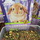 獸寵星果蔬多維兔糧垂耳兔成兔寵物幼兔全價(jià)糧食健康通用兔子飼料 多維牧草果蔬兔糧500克（1袋）