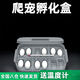 星美妙爬寵孵化盒守宮烏龜鬃獅蜥玩具蛇孵蛋器蛋托保濕透氣孵化箱 孵化 孵化盒+溫度計