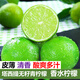 甘果有約 香水檸檬 無(wú)籽青檸檬 青檸新鮮水果 塔西提 5斤精品一級(jí)果