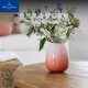 唯寶（Villeroy Boch）【新品】簡(jiǎn)約珠光貝影珊瑚粉花瓶 家居客廳 藝術(shù)裝飾 擺件 新婚禮 大花瓶1.78L