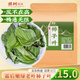 煜樹(shù) 柿子葉250克 柿子樹(shù)葉柿子整葉柿子葉茶霜打柿子可泡水