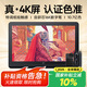 XPPen Artist Pro19(4K)數(shù)位屏 手繪屏 電腦專業(yè)繪畫 連接電腦筆記本手繪板AP19手寫板電子繪畫板