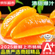 優(yōu)味集下河楊桃水果【順豐JD】福建低糖鮮果整箱送禮應(yīng)季孕婦生鮮酸梅粉 1000g凈重裝（顆顆精選） 商超A+級金果150g+
