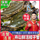【活蟹】浙江舟山特大梭子蟹鮮活螃蟹新鮮白蟹公蟹海蟹海鮮蟹類 【保鮮不包活】大蟹3斤裝共6-9只 充氧氣+冰袋+木屑+泡沫箱鎖鮮