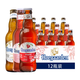 百威（BUDWEISER）比利時(shí)風(fēng)味啤酒 玫瑰紅果味啤酒組合裝 福佳果味組合 248mL 12瓶