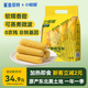 鯊魚菲特黃糯玉米4.4斤(220g*10根) 東北甜黏玉米棒 早餐苞米 真空包裝