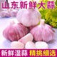 現(xiàn)挖紫皮大蒜頭新鮮大蒜濕蒜多瓣5斤腌制糖醋泡蒜蔬菜2025山東 3斤 小果【25mm左右】