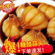 糖醋蒜醬蒜頭泡大蒜頭腌蒜頭下飯菜醬菜泡菜咸菜酸甜爽 糖醋蒜頭3斤