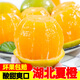 柏果相依秭歸湖北夏橙 當(dāng)季手剝酸甜橙子新鮮水果高山血多汁冰糖臍  可選 3斤 60mm以下（實(shí)惠）