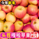 顧果鮮2025正宗嘎啦蘋果應(yīng)當(dāng)季新鮮孕婦水果脆甜富士青蘋果冰糖丑蘋果 9斤大果【70mm+】凈重8.5斤