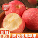 裕農(nóng)叔洛川蘋果【JD/順豐】正宗陜西紅富士蘋果新鮮丑當(dāng)季生鮮孕婦水果 凈重4.8斤（家庭暢享） 商超級(jí)金果75-85mm