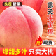 現摘山西新鮮桃子紅美人水蜜脆桃毛桃當季時(shí)令孕婦水果3/5斤整箱 嘗鮮裝-【3斤】