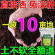 松土精土壤活化劑黑水肥料改善板結疏松免深耕菜園翻地松土神器 【管2畝】 1000g 1袋