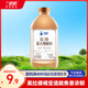 蘭格格 草原酸奶 蒙古炭燒慢酸奶720g*1  生鮮低溫酸牛奶