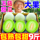 海南冰淇淋玉菇甜瓜新鮮10斤應(yīng)當(dāng)季水果玉菇冰淇淋哈翡翠香甜密瓜 【3斤】約1~2個，超甜
