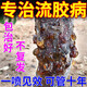 流膠穿孔一噴凈桃樹(shù)流膠病專(zhuān)用藥油桃果樹(shù)腐爛病流膠穿孔凈 3瓶【果樹(shù)不流膠】
