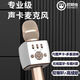 屁顛蟲(chóng)（Hifier） F2PRO話筒音響一體麥克風(fēng)無(wú)線內(nèi)置聲卡套裝直播設(shè)備全套手機(jī)唱歌全民K歌電視手機(jī)通用K歌寶新款 F2PRO