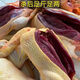拾贊香【端午限定】散養(yǎng)非正宗老鴨老麻鴨子非新鮮現(xiàn)殺整只超大非禮盒裝 【5斤】端午鴨湯賽參湯