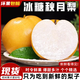 閩域?qū)r山東羊脂秋月梨禮盒裝應(yīng)季萊陽冰糖梨新鮮水果老樹秋月梨子 凈重3斤【3-4枚】嘗鮮一下 新鮮采摘2025年頭茬鮮果