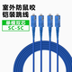 辰飛揚 電信級鎧裝光纖跳線(xiàn)單模雙芯SC/FC/ST/LC工程專(zhuān)用尾纖延長(cháng)線(xiàn)防鼠咬阻燃 鎧裝單模雙芯SC-SC 10米