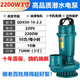 綠泉上海綠泉鑫蛙潛水泵220V家用3-4寸大流量灌溉農用高揚程抽水泵 3寸2.2KW10米揚程