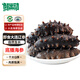 鮮出動(dòng)大連即食海參刺參深海遼刺參海參干貨7-13頭 凈重500g