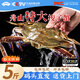 新鮮梭子蟹鮮活冷凍大螃蟹舟山海鮮水產(chǎn)野生梭子蟹活凍飛蟹白蟹 5-7兩/只 【4斤舟山梭子蟹】