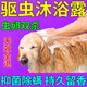 天望狗狗沐浴露殺菌除臭洗澡非驅(qū)蟲止癢除螨去虱子跳蚤藥寵物專用浴液 1瓶裝【洗一次 就見效】