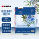 凱薩（KAISA）美式線(xiàn)圈本B5+/105張易撕3科目本橫線(xiàn)筆記本大學(xué)生文具加厚本子考研錯題本 藍色