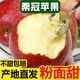秦冠蘋(píng)果粉面沙甜當季新鮮水果老人寶寶刮泥輔食一整箱批發(fā)價(jià) 秦冠帶箱9-10斤 *精選特大果
