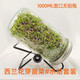 胖東來(lái)品質(zhì)家用梅森瓶發(fā)芽罐種子發(fā)芽梅森罐不銹鋼金屬發(fā)芽網(wǎng)蓋玻璃瓶 1000ml寬口瓶+不銹鋼網(wǎng)格蓋+精品支架