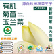 鮮得手禹道【有機菊苣】金玉蘭菜健康營養(yǎng)富堿蔬菜 奧運會指定天津特產(chǎn) 產(chǎn)地現(xiàn)拔避光冷藏（生食涼拌)5斤