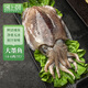 遇上鮮 舟山大墨魚 海鮮 新鮮冷凍烏賊目魚 凈重3斤(4-6兩/只) 源頭直發(fā)