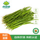 小湯山 北京 有機(jī)韭菜 280g 基地直供新鮮蔬菜