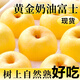 粵迎山東奶油富士蘋(píng)果黃金新鮮當季水果孕婦可吃時(shí)令水果香甜脆甜多汁 凈4.5-5斤精選果【單果70mm+】
