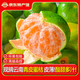 騎猴趕馬云南高山青皮蜜桔新鮮水果現(xiàn)摘應季蜜桔酸甜橘子整箱包郵青皮蜜橘 凈重4.5斤【單果50-55mm】精選超值裝 團購/售后詳詢客服