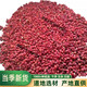 北京同仁堂紅豆杉果子泡水泡酒果實(shí)干500g紅豆果子干果種子中藥材 紅豆杉果500g