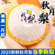 三萌果蔬正宗山東秋月梨水果禮盒中秋節(jié)禮品送禮物應(yīng)季新鮮萊陽(yáng)冰糖梨子 5斤優(yōu)選果【單果約250g+】?jī)糁?.5斤