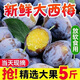 【新鮮】大西梅當(dāng)季孕婦水果3斤四川甜西梅鮮果女神李子梅子整箱Y 帶箱3斤中果【直箱裝】口感好