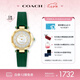 蔻馳（COACH）CARY系列 貝母表盤 石英女表14503894小綠表 七夕禮物/送禮