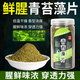 藻元素餌料馬尾青苔釣魚(yú)餌溪流釣添加藻類(lèi)的餌料海藻苔蘚鯉魚(yú) 青苔藻片1瓶-藻香濃郁魚(yú)餌添加劑 鯽魚(yú)黃尾開(kāi)口誘魚(yú)劑窩料海藻片