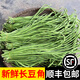 辰實【順豐】新鮮長缸豆 農(nóng)家時令蔬菜長豆角 四季豆姜豆泡菜原料 3斤