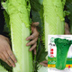 大禹天津青麻葉大白菜種子籽大全耐熱黃心青口紹菜特大蔬菜夏秋季蔬菜 津綠75青麻葉白菜種子15gx2袋