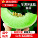 京源采山東玉菇甜瓜蜜瓜新鮮水果批發(fā)當季香瓜哈密瓜孕婦當季水果整箱 精選帶箱9斤高品質甜瓜
