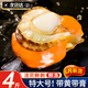 尚致扇貝肉特大號新鮮冷凍扇貝帶黃帶膏可做蒜蓉粉絲扇貝生鮮紅貝 【4斤】扇貝肉500g*4袋