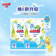 大王維E紙尿褲拉拉褲嘗鮮裝4-6片試用裝 拉拉褲L4片（9-14kg）
