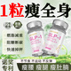 LaCture專(zhuān)利減肥暴瘦大肚子燃脂全身快速塑身燃脂神器肚臍強效排油正品 一盒裝【新西蘭健康品牌】進(jìn)口直營(yíng) 【不節食不反彈】男女減小腹瘦腰腿緊致中藥濕氣重
