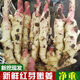正宗山東新鮮嫩姜生姜紅芽姜現(xiàn)挖廣西姜芽泡姜芽當(dāng)季農(nóng)家蔬菜 5斤帶箱重 脆嫩現(xiàn)挖新鮮嫩仔姜農(nóng)家自種時令
